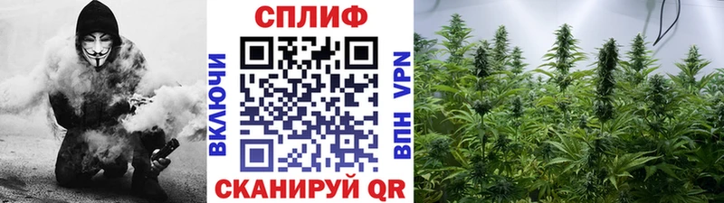 Бошки марихуана AK-47 Чухлома